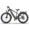 AOSTIRMOTOR new pattern 26" 1000W Electric Bike Fat Tire 52V30AH Removable Lithium Battery for Adults