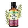 Spring Valley 100% Pure Australian Tea Tree Oil;  2 fl oz