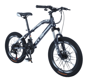 Kids RAINIER MODEL 20&quot;STEEL MTB Bike Black/White