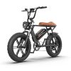 AOSTIRMOTOR new pattern Electric Bicycle 750W Motor 20" Fat Tire With 48V 12.5AH Li-Battery