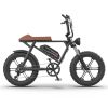 AOSTIRMOTOR new pattern Electric Bicycle 750W Motor 20" Fat Tire With 48V 12.5AH Li-Battery