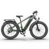 AOSTIRMOTOR new pattern 26" 1000W Electric Bike Fat Tire 52V30AH Removable Lithium Battery for Adults