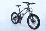 Kids RAINIER MODEL 20&quot;STEEL MTB Bike Black/White