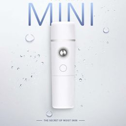 Mist Sprayer Mini 30ml Nano Portable Face Spray Facial Body Steamer Moisturizing Skin Care Humidifier Instruments (Color: Battery)