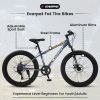 S24109 Elecony 24 Inch Fat Tire Bike Adult/Youth Full Shimano 7 Speeds Mountain Bike; Dual Disc Brake; High-Carbon Steel Frame; Front Suspension; Moun