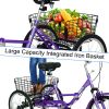 Adult Folding Tricycle ; Foldable 20 inch 3 Wheel Bikes; Single Speed Portable Cruiser Bicycles with Shopping Basket for Seniors; Women; Men